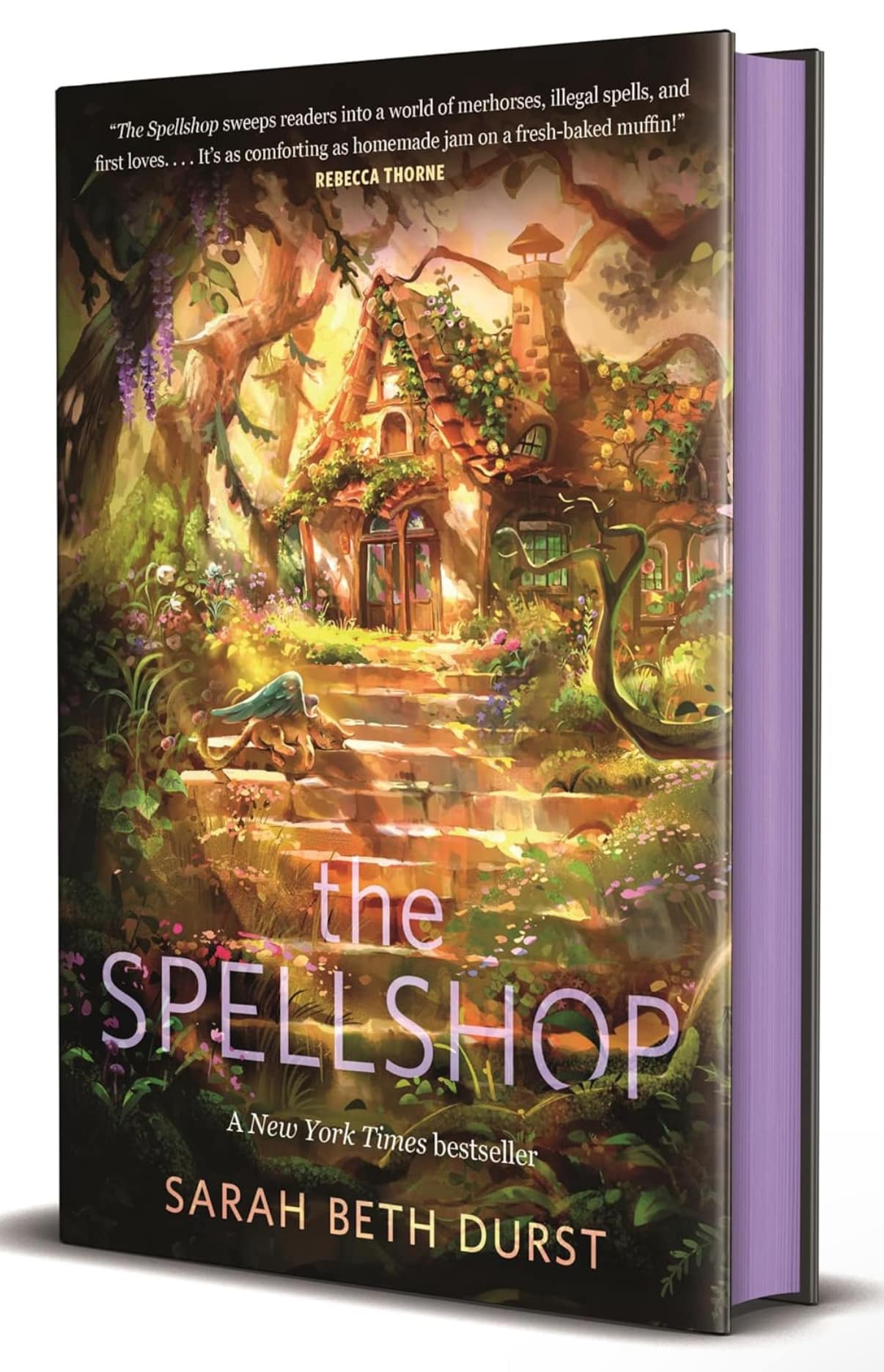 The Spellshop - Sarah Beth Durst