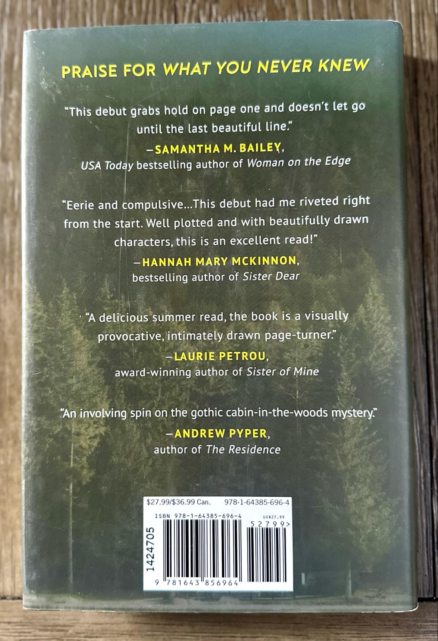 What You Never Knew - Jessica Hamilton