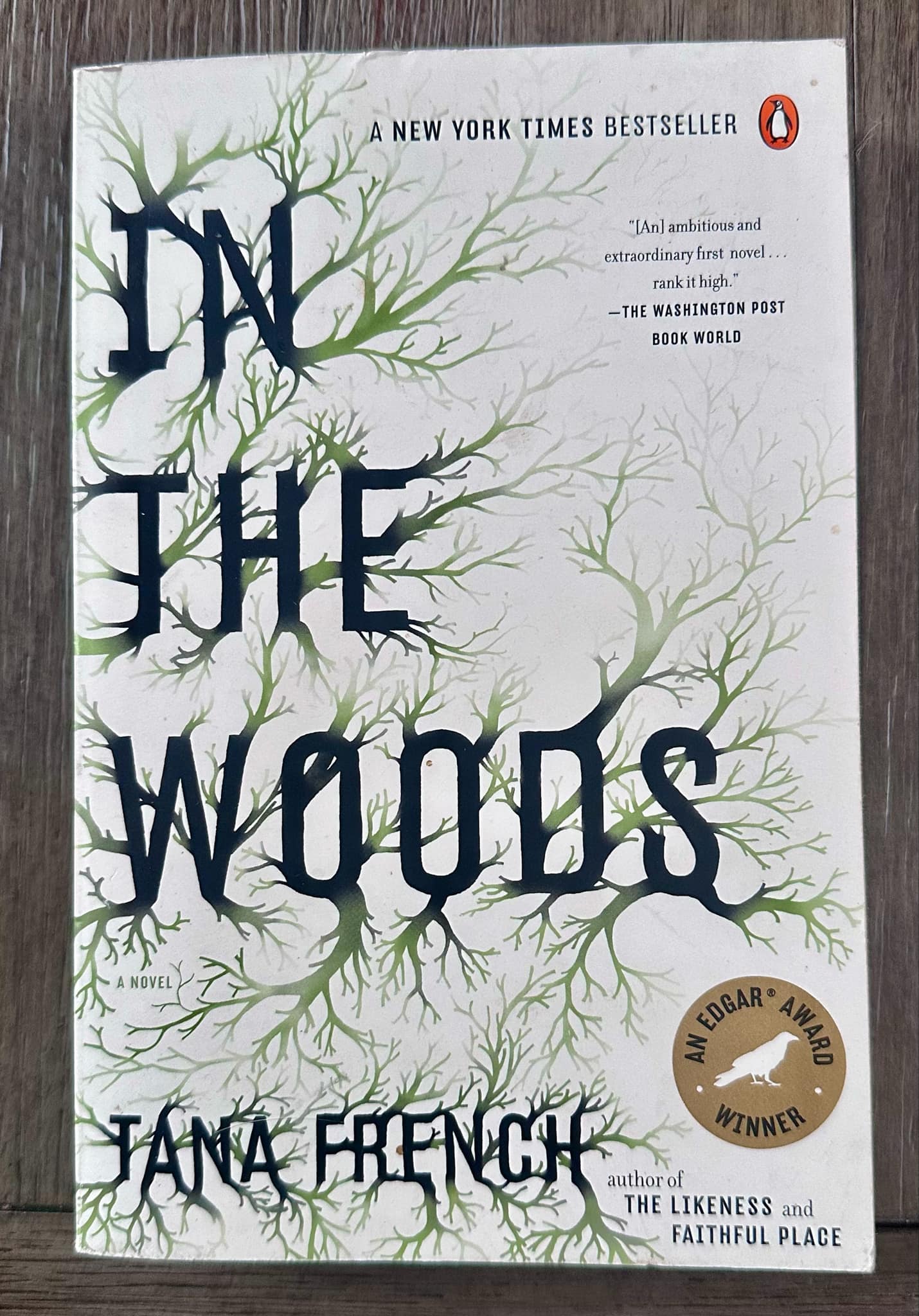 In The Woods - Tana French