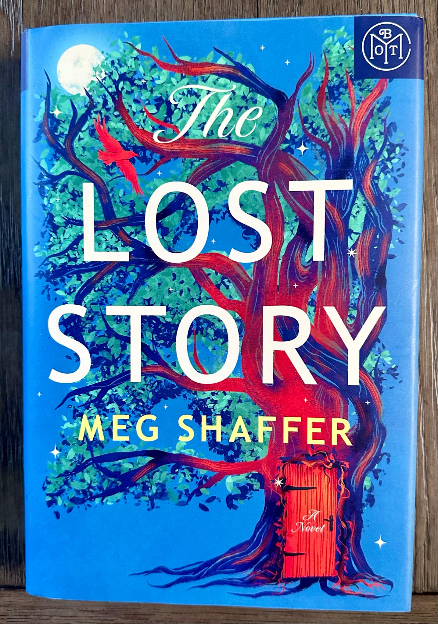 The Lost Story - Meg Shaffer