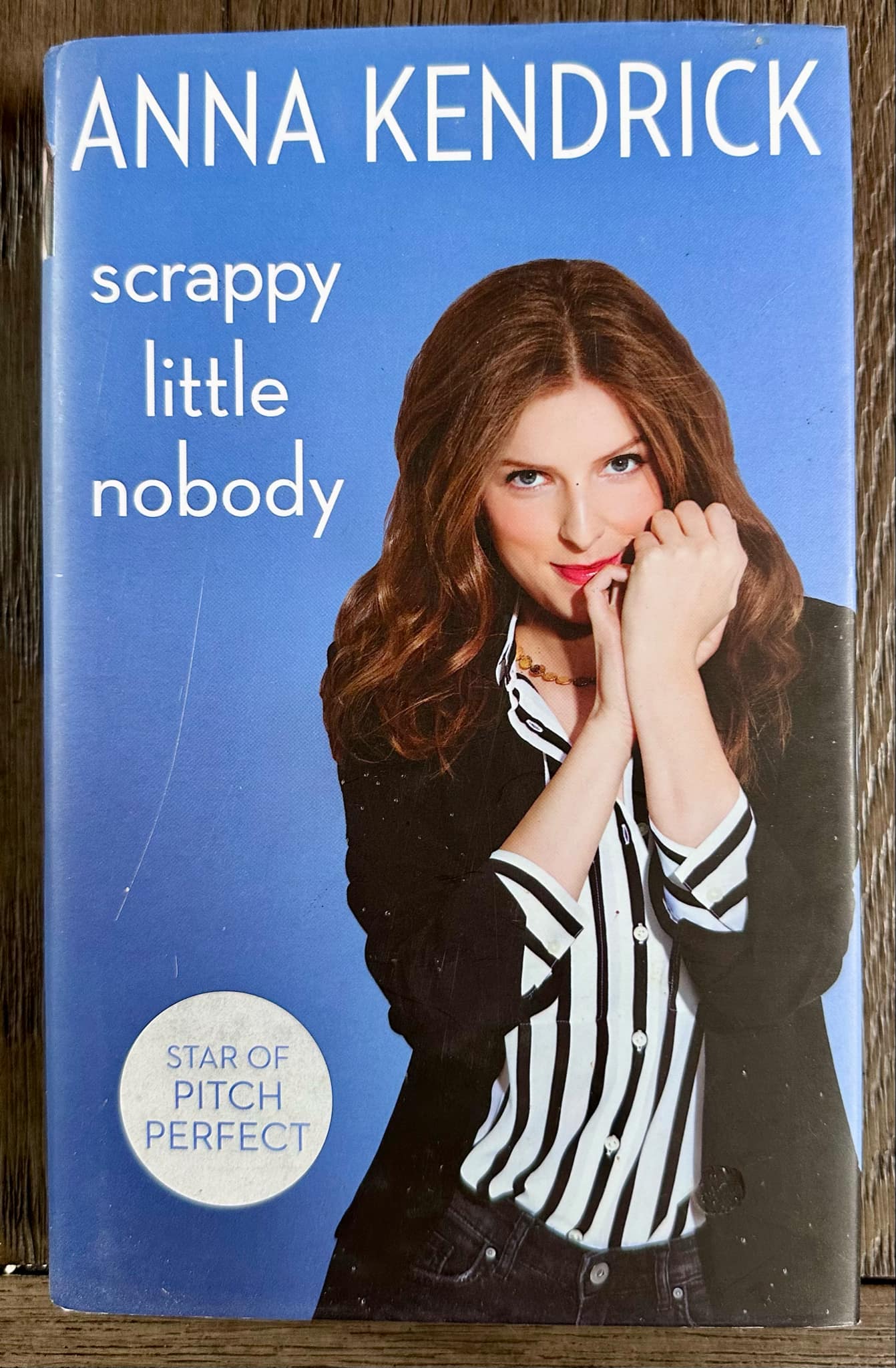 Scrappy Little Nobody - Anna Kendrick