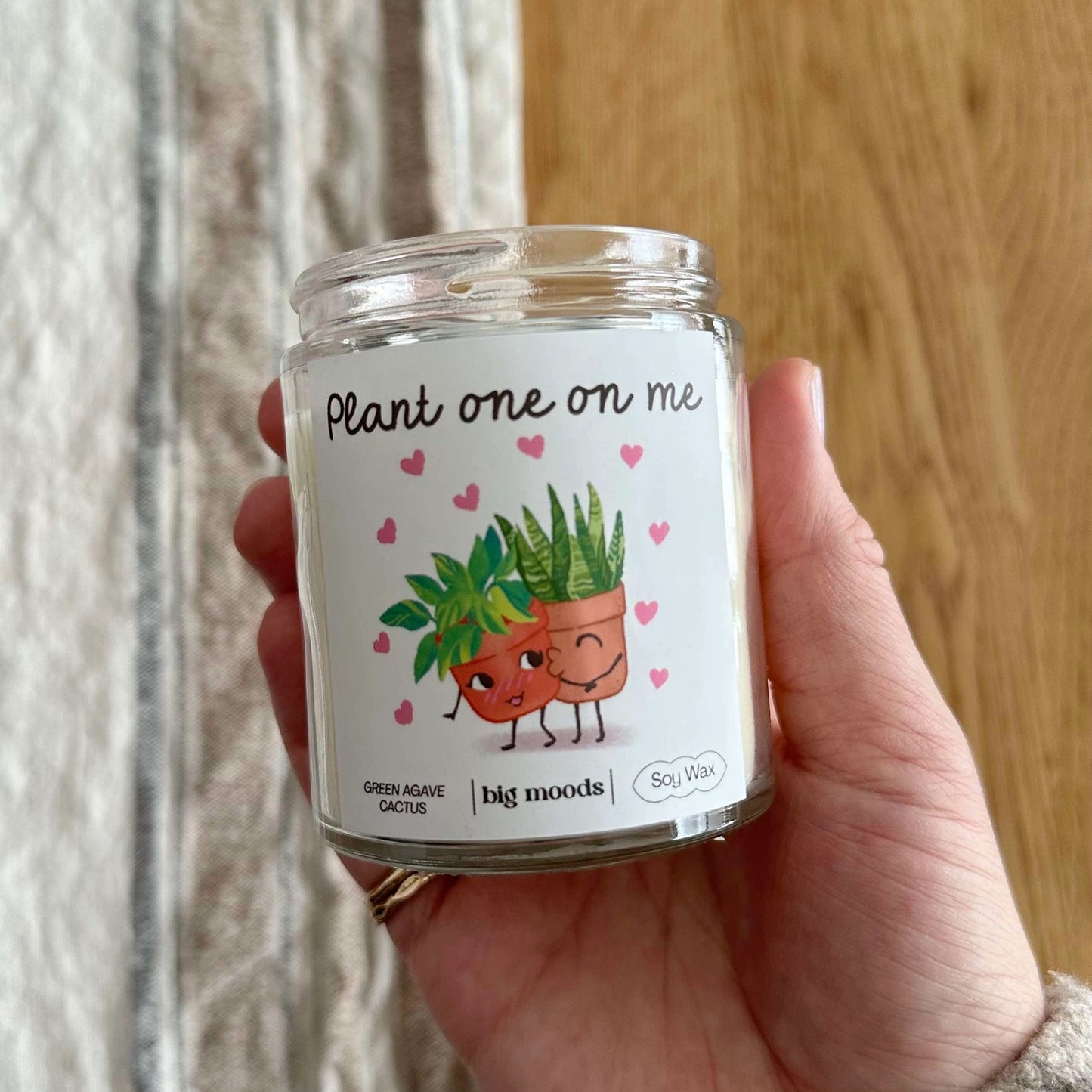 "Plant One On Me" Green Agave Cactus - Candle
